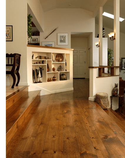 eastern white pine Eastern White Pine in living space