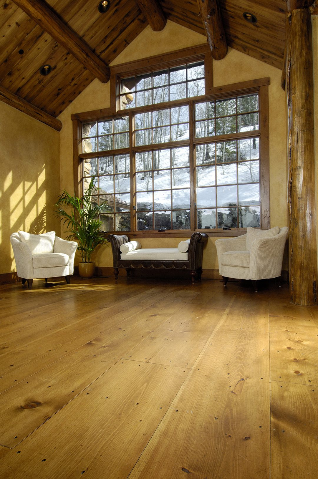 light pine floor