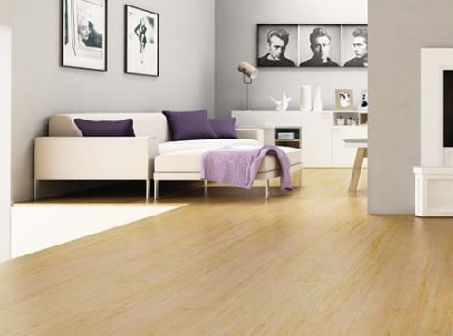 Bamboo Flooring