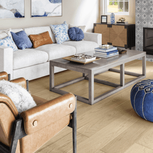 Gray couch, wooden table, and wide plank floor in bright living room.