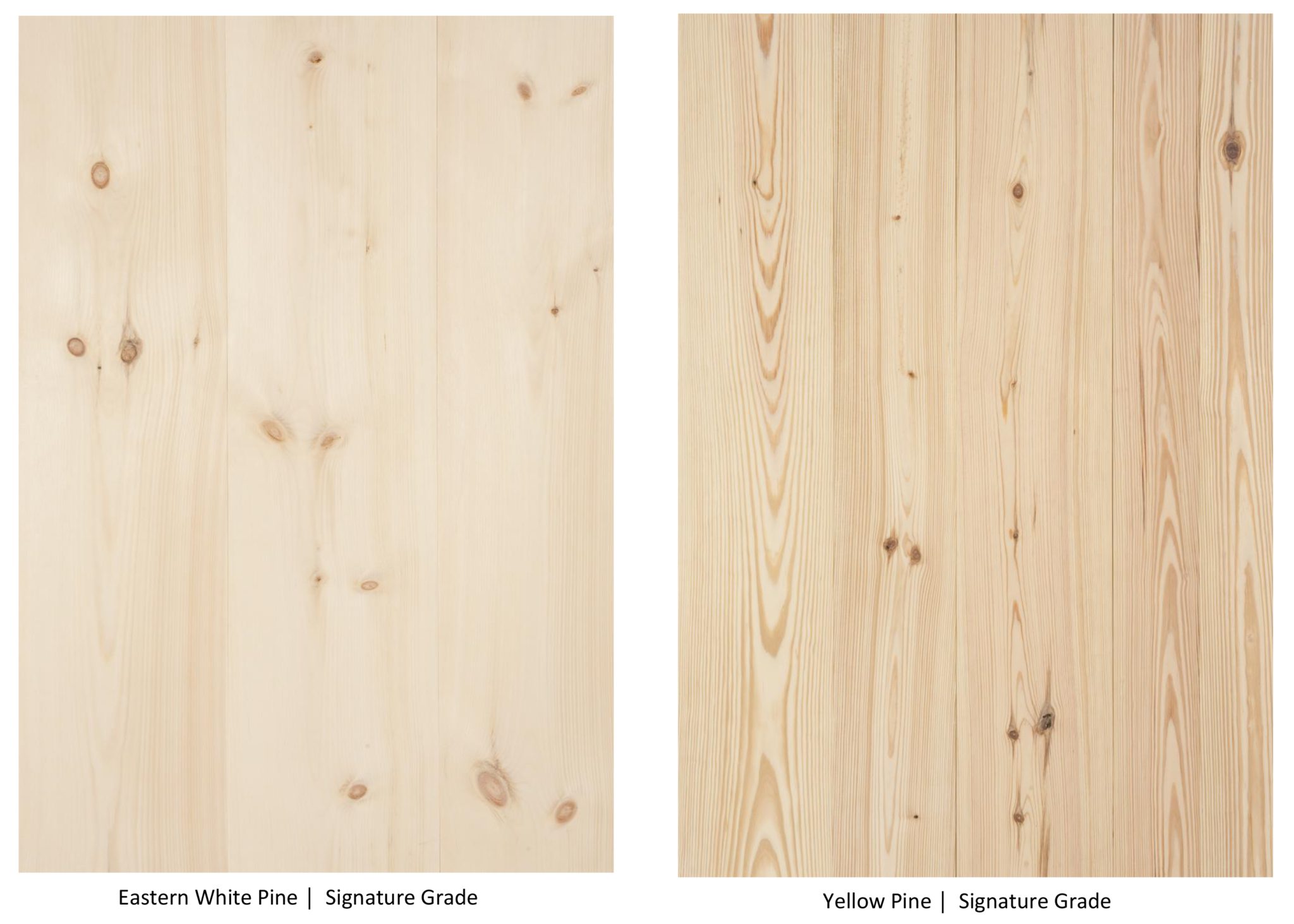 White Pine and Yellow Pine Comparisons
