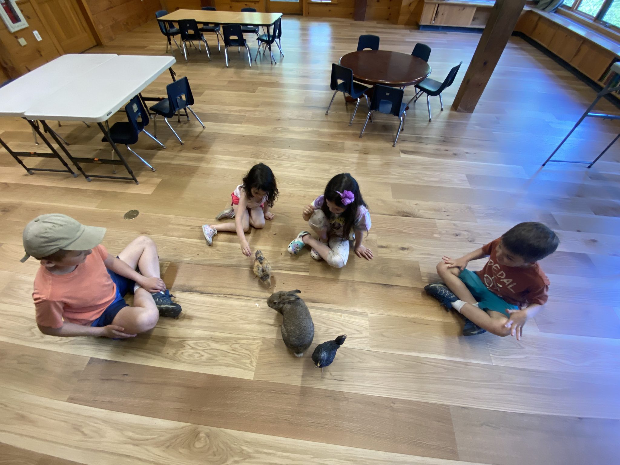 Carlisle Prefinished White Oak Flooring