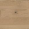 Small brown bug on light wide plank surface with natural grain.