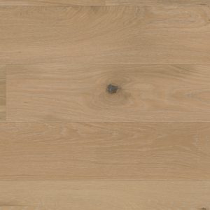 Small brown bug on light wide plank surface with natural grain.