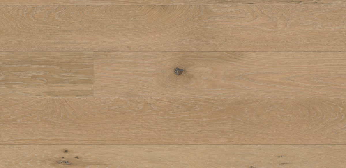 Small brown bug on light wide plank surface with natural grain.